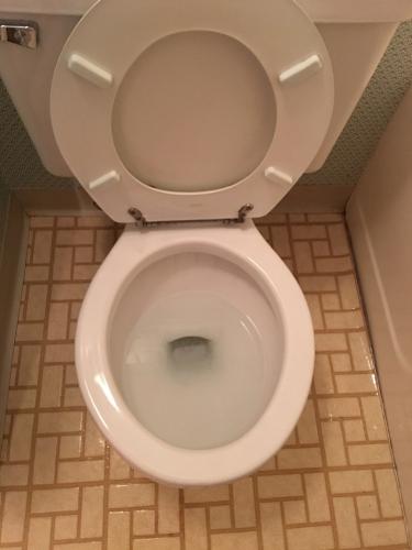 dirty toilet